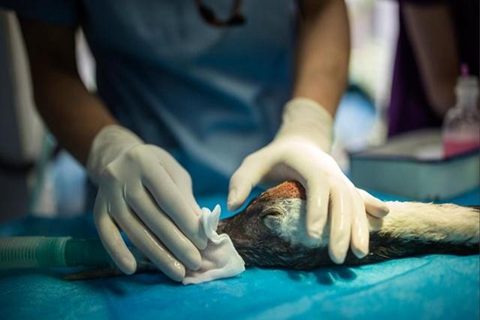 Empresa de Fabricação Rápida-7