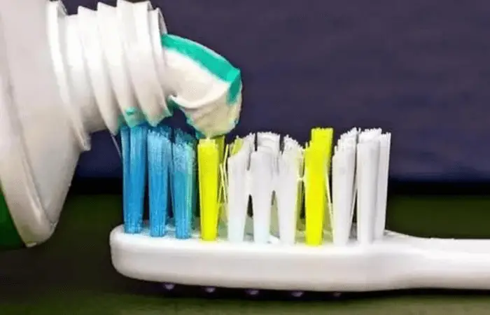 Fig. 2 Uma camada de pasta de dente em uma escova macia.