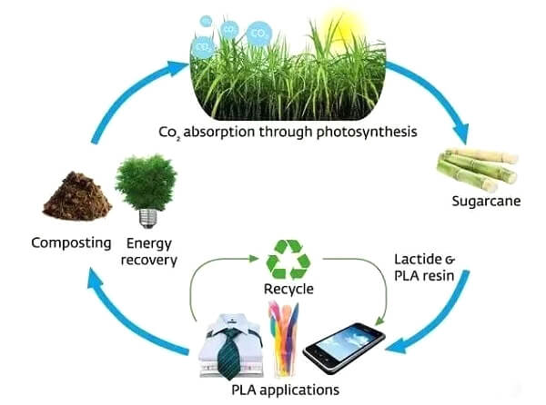 Biodegradable Plastics