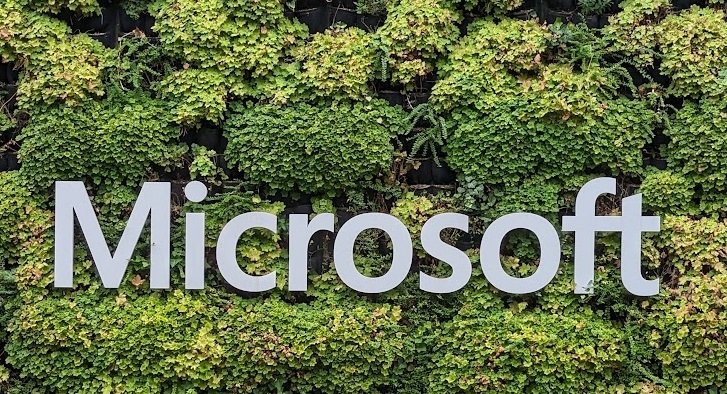 Microsoft assina acordo para remover 350 mil toneladas de carbono por meio de sistemas agroflorestais