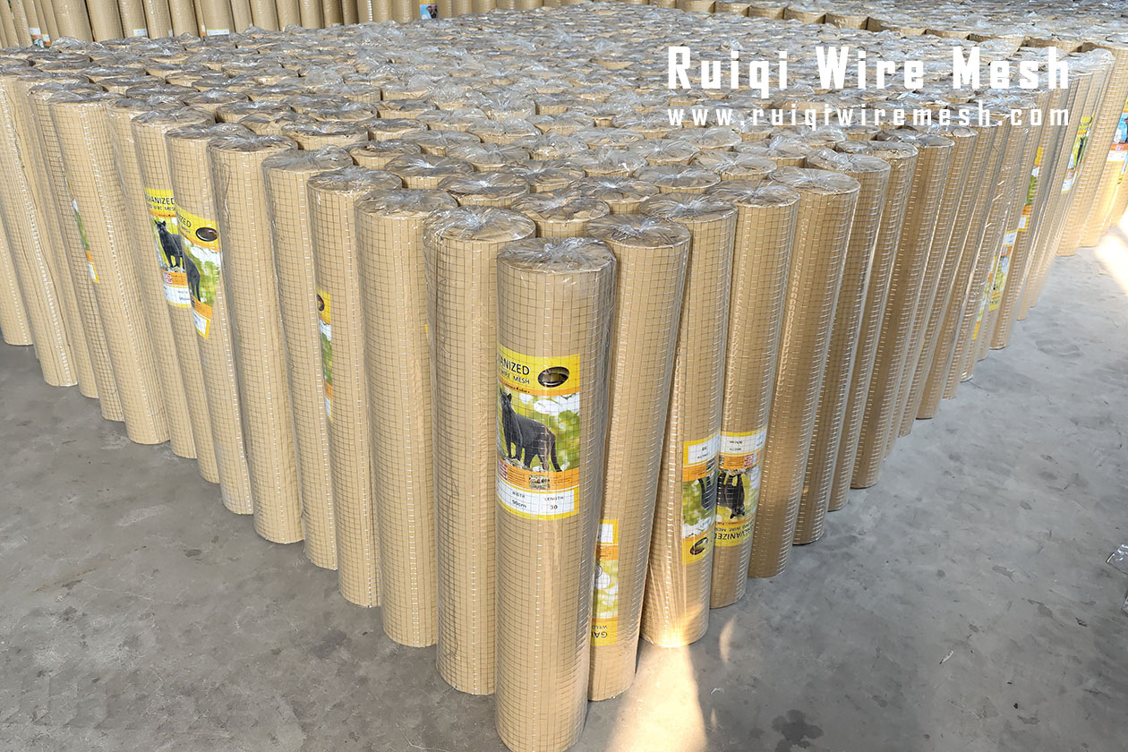 galvanized welded wire mesh rolls