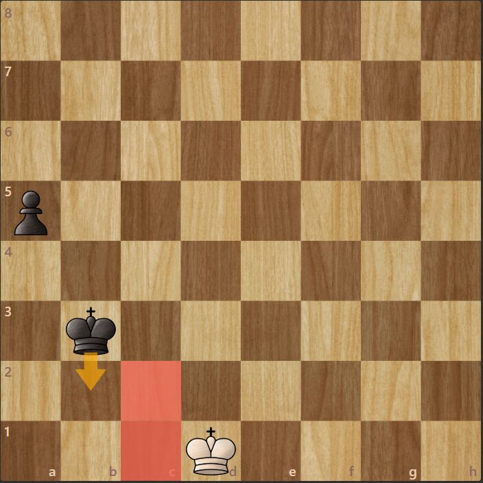 Target Squares Against A Rook Pawn - 2