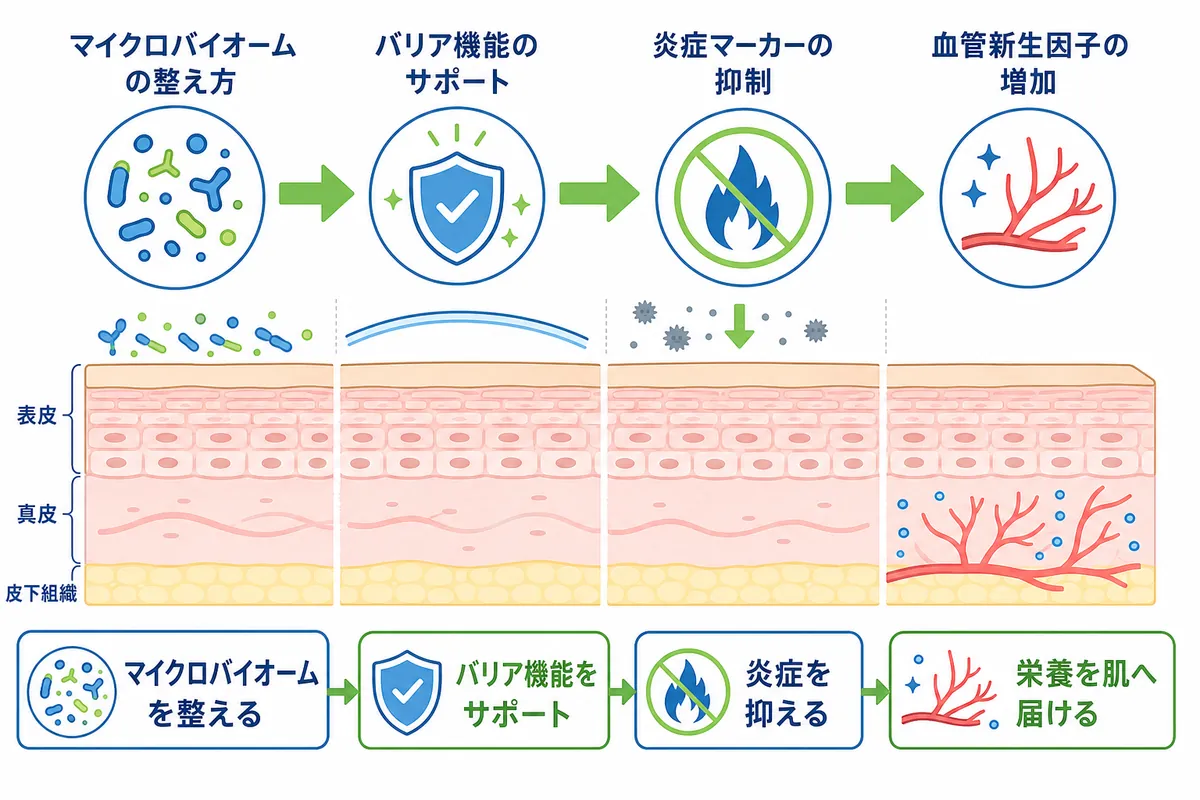 論文が示すニュービア ハイドロデラックスの科学的根拠