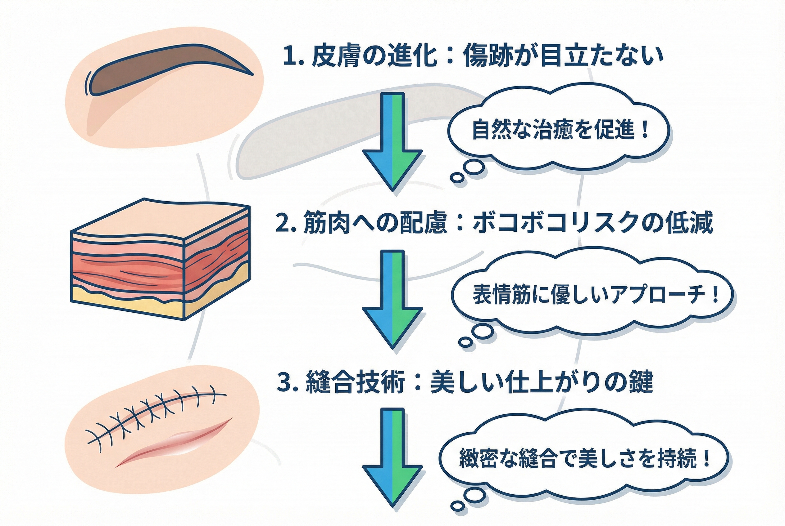 最新術式で実現する「傷跡が目立たない」眉下切開の医学的根拠