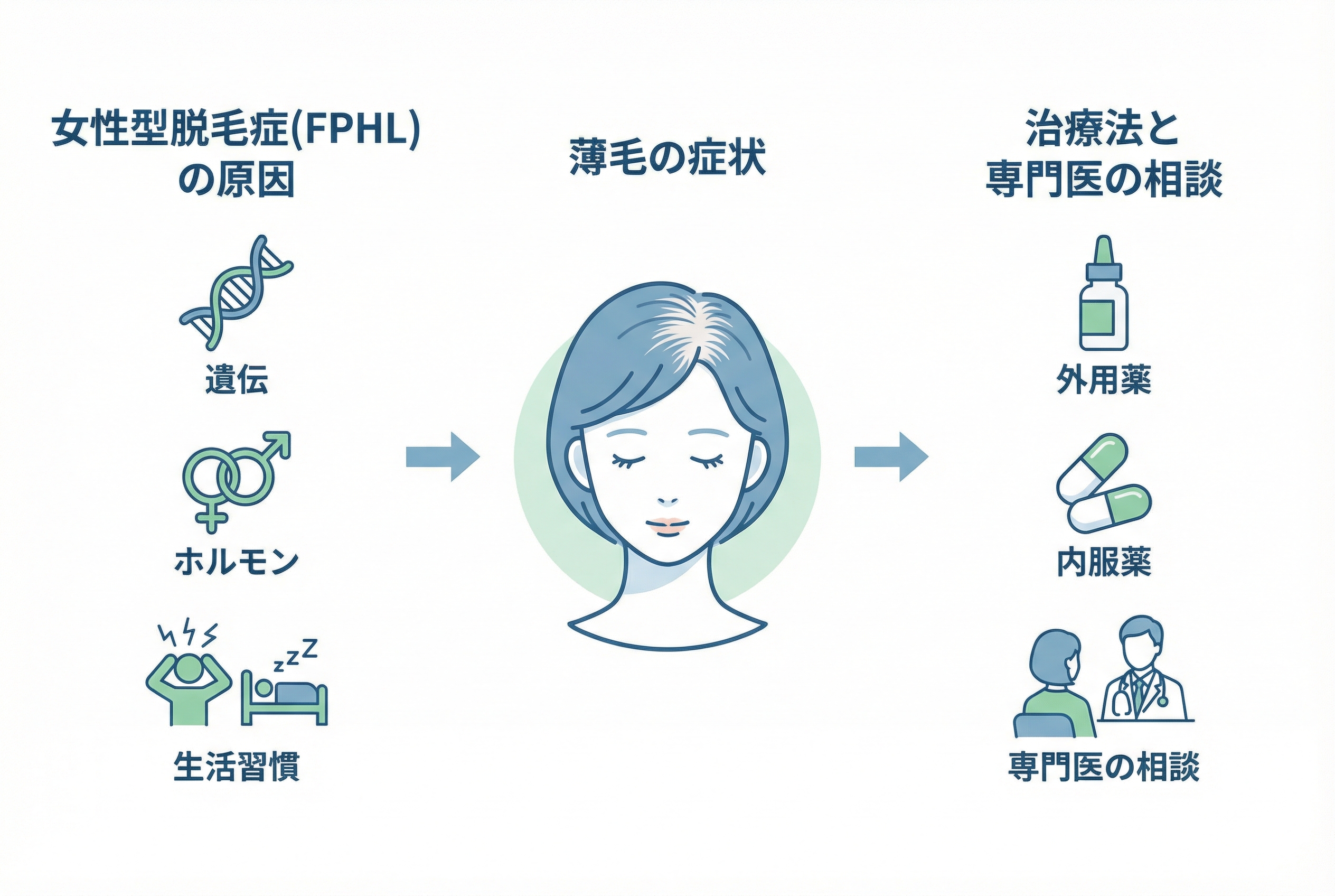 セクション - 画像 1