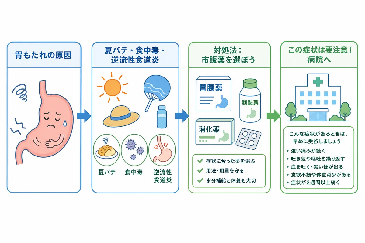 なぜ夏は胃がもたれる?暑さで胃腸が弱る3つの理由 - 画像 1