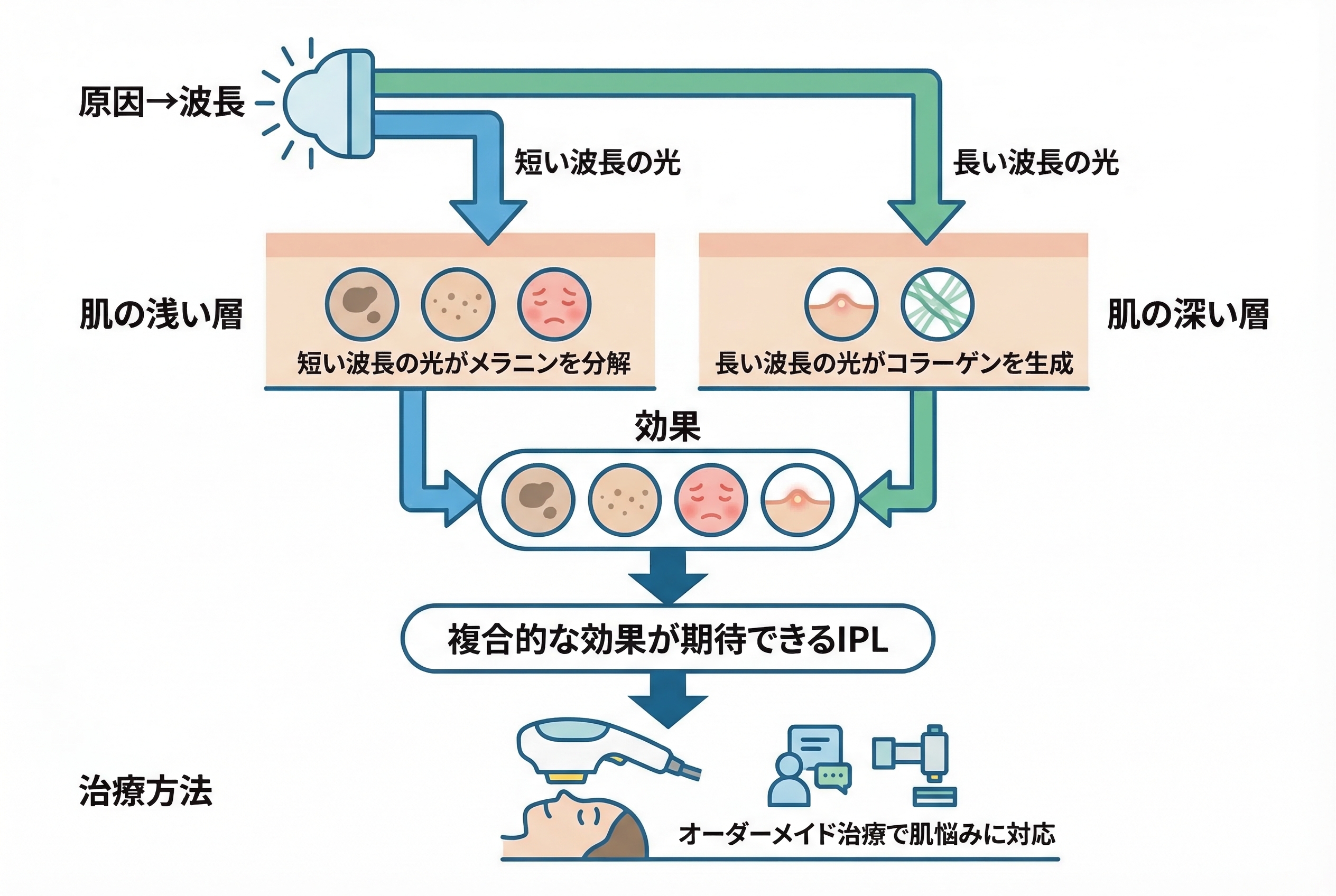 医学論文で見るステラM22(IPL)の有効性とエビデンス