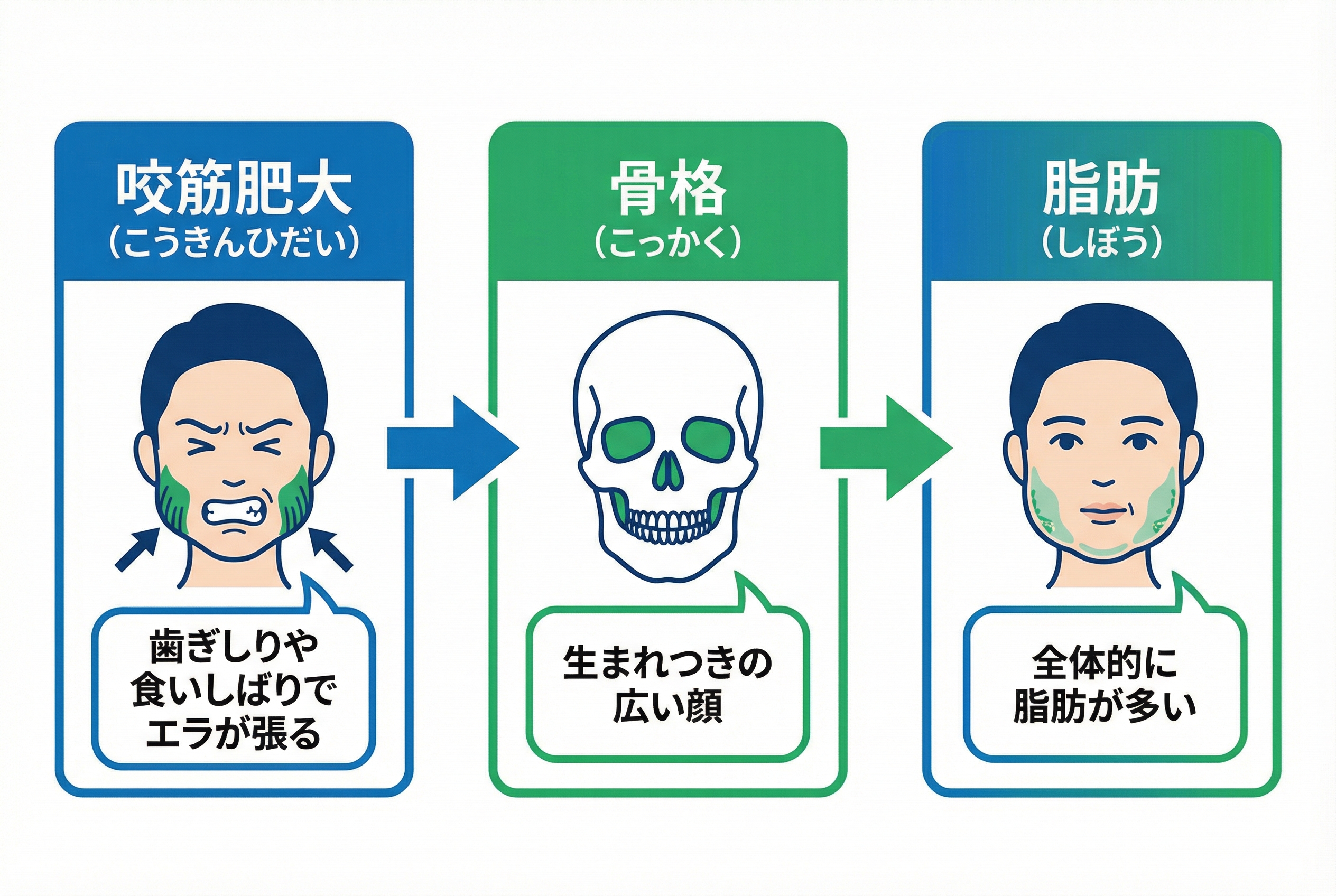エラボトックスの費用・リスクと安心のクリニック選び