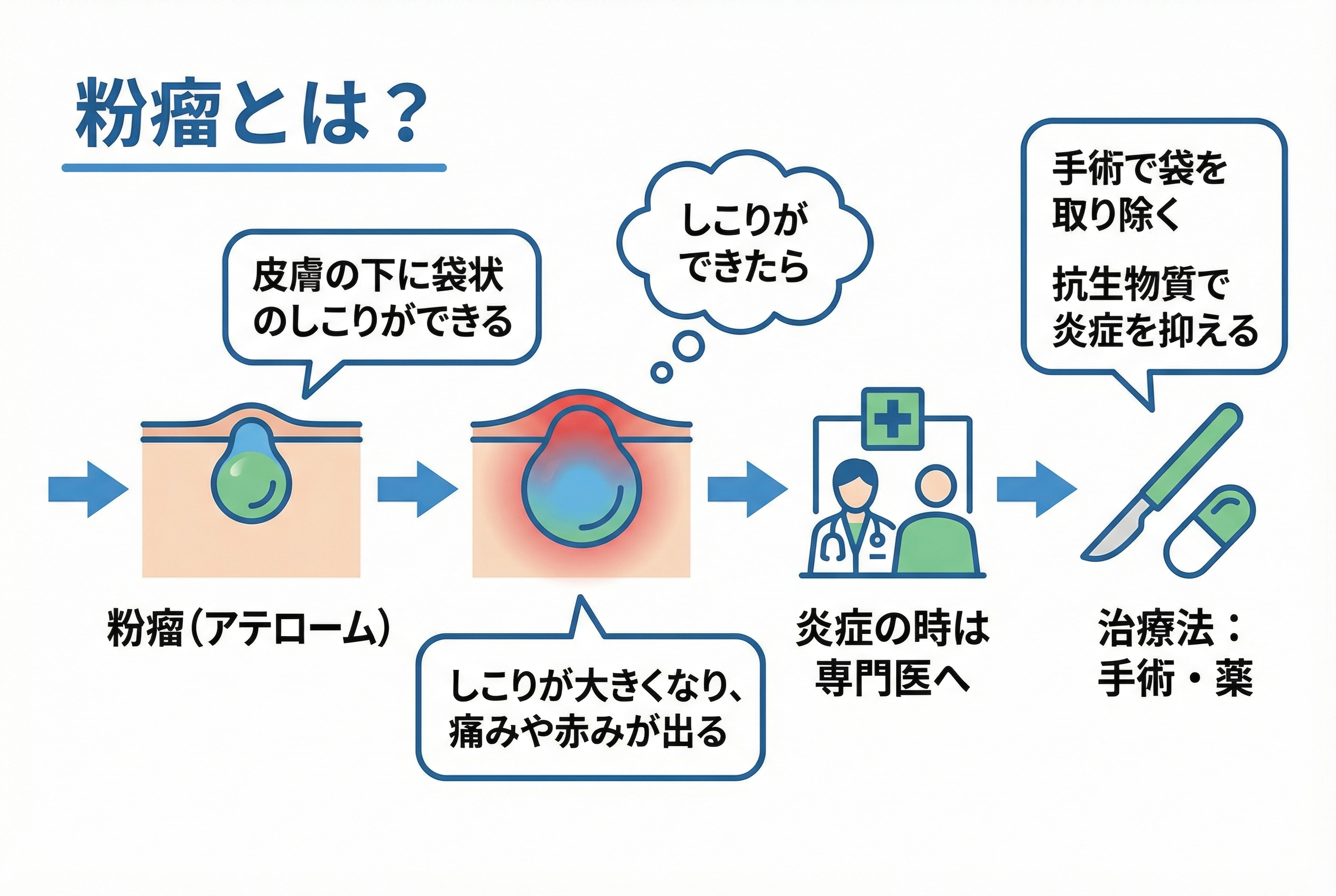 セクション - 画像 1