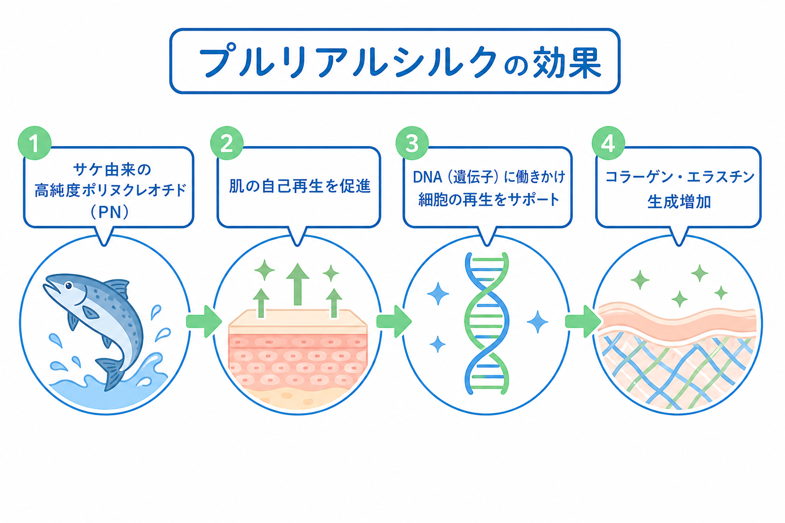 プルリアルシルクとは?注目される成分と効果の仕組み