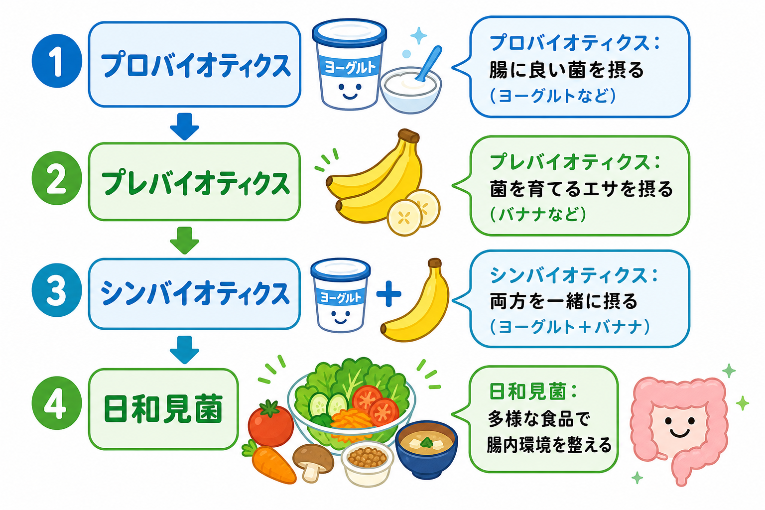 ビフィズス菌と乳酸菌の違いとは？それぞれの効果と上手な摂り方