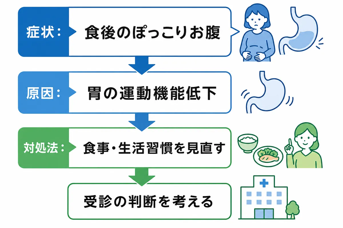 なぜ胃下垂になるの?考えられる4つの原因 - 画像 1