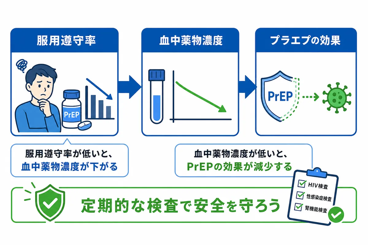 飲み忘れは効果にどう影響する?血中濃度から解説