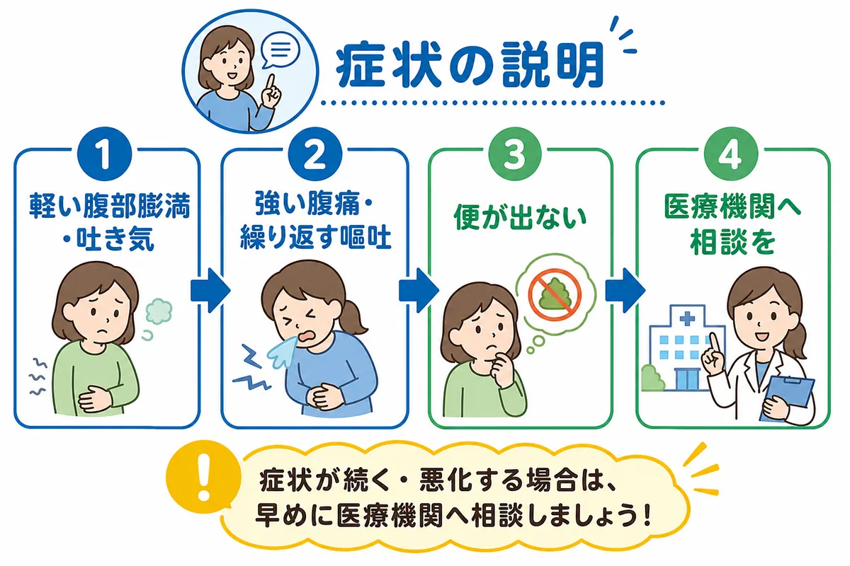 セクション - 画像 1