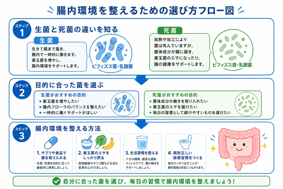 ビフィズス菌と乳酸菌の違いとは？それぞれの効果と上手な摂り方 