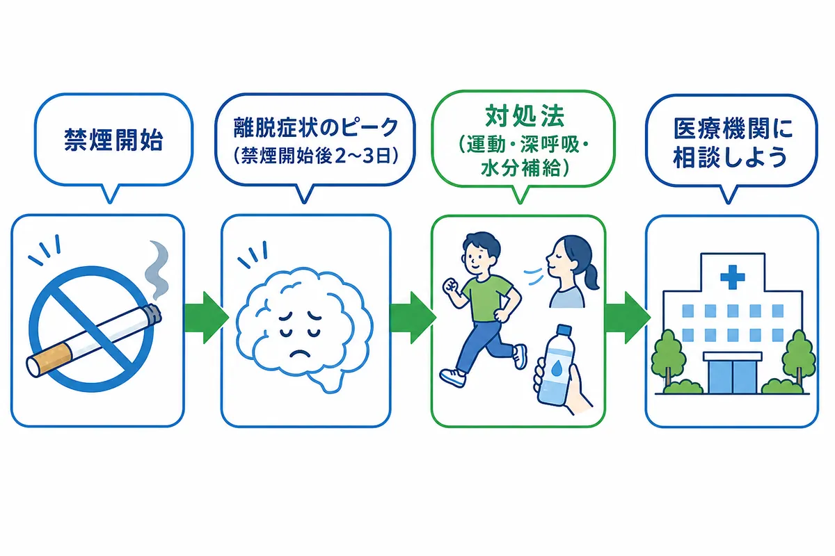 セクション - 画像 1