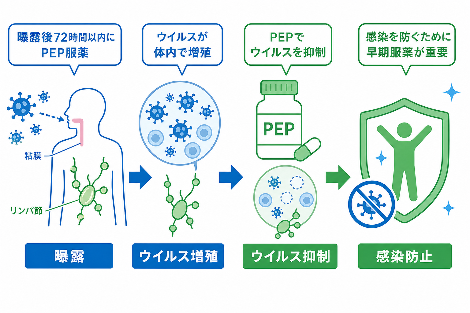PEPがHIV感染を防ぐ科学的メカニズム