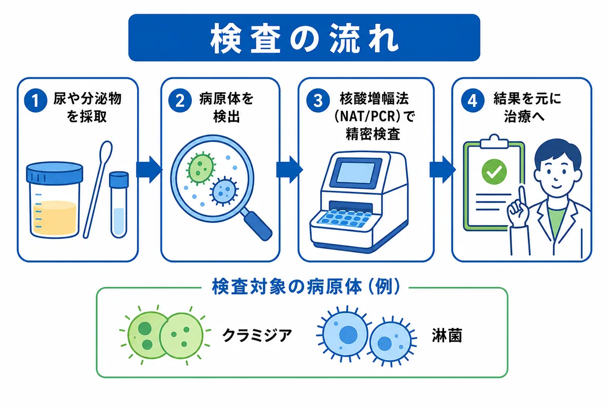 薬剤耐性を考慮した最新の性病治療ガイドライン