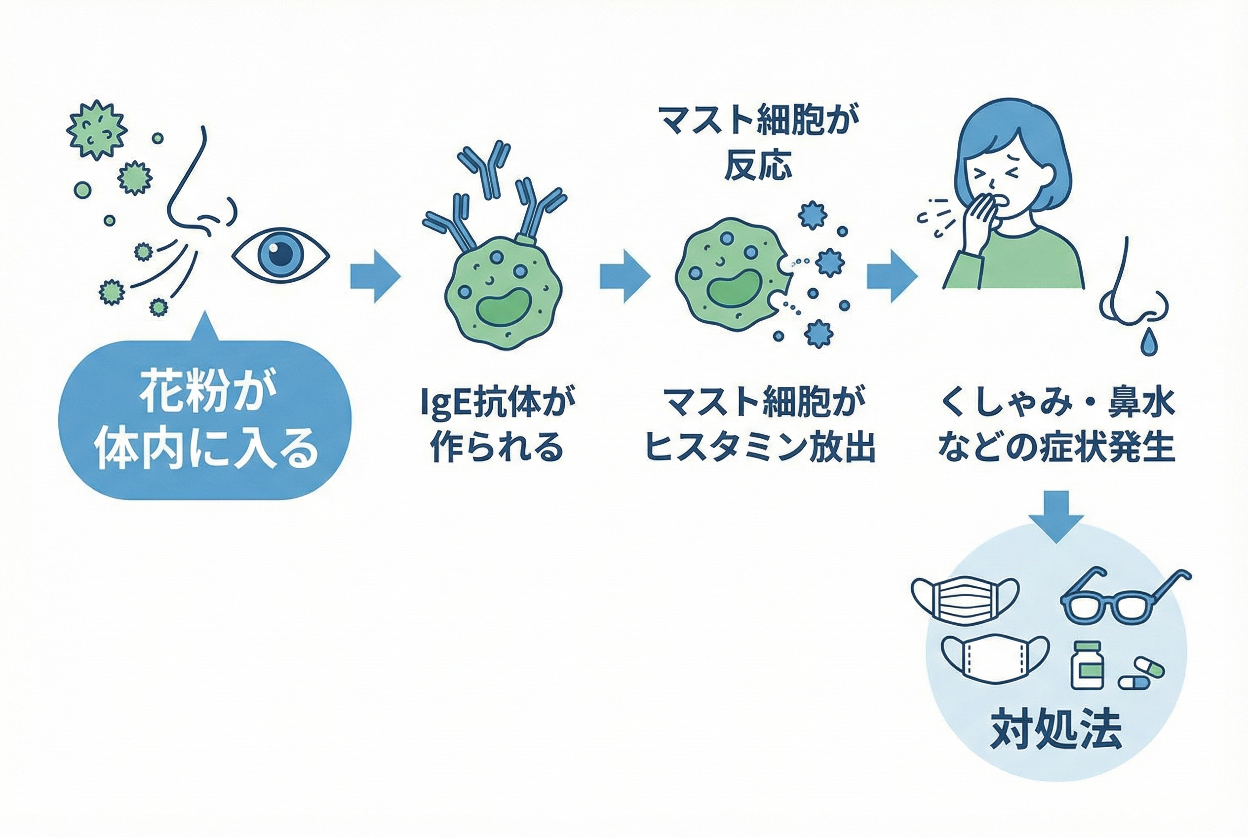 セクション - 画像 1