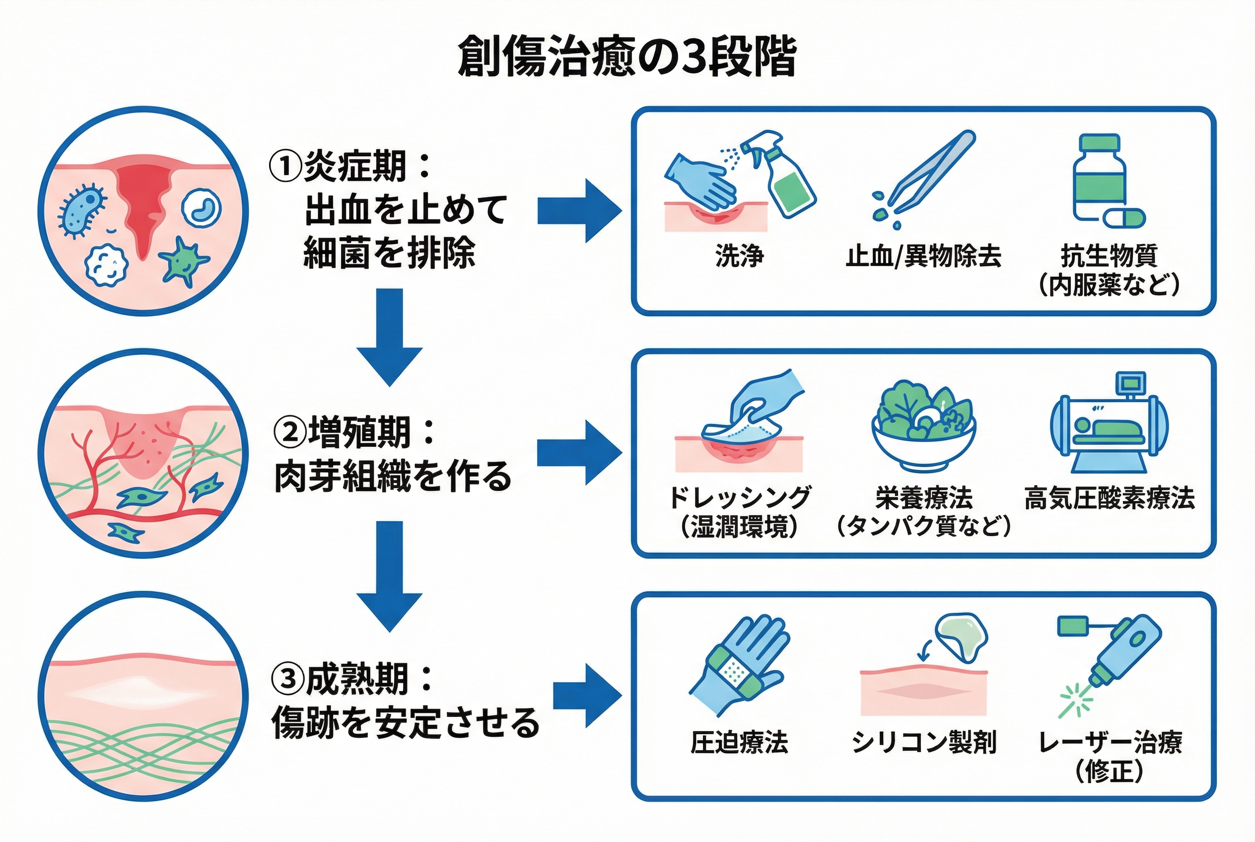 再生医療が導く「傷跡を消す」ための先進治療戦略