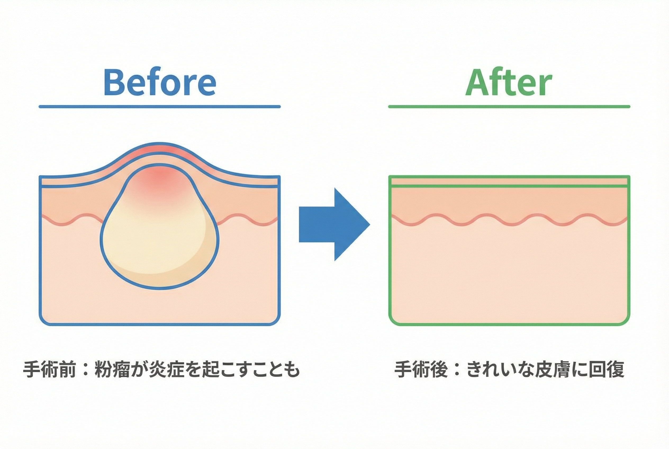 セクション - 画像 1