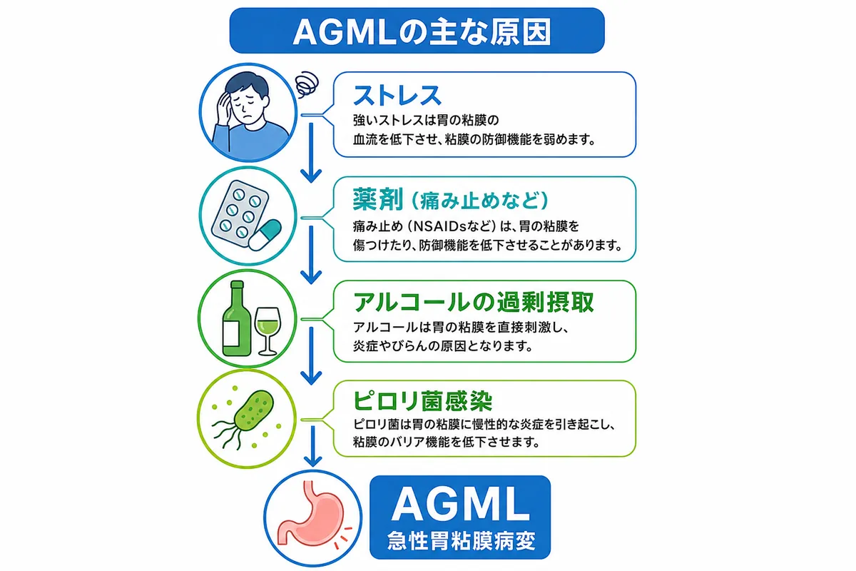 【医師監修】AGMLとは？急性胃粘膜病変の症状・原因・治療法を詳しく解説 | あけぼの橋内科・内視鏡内科