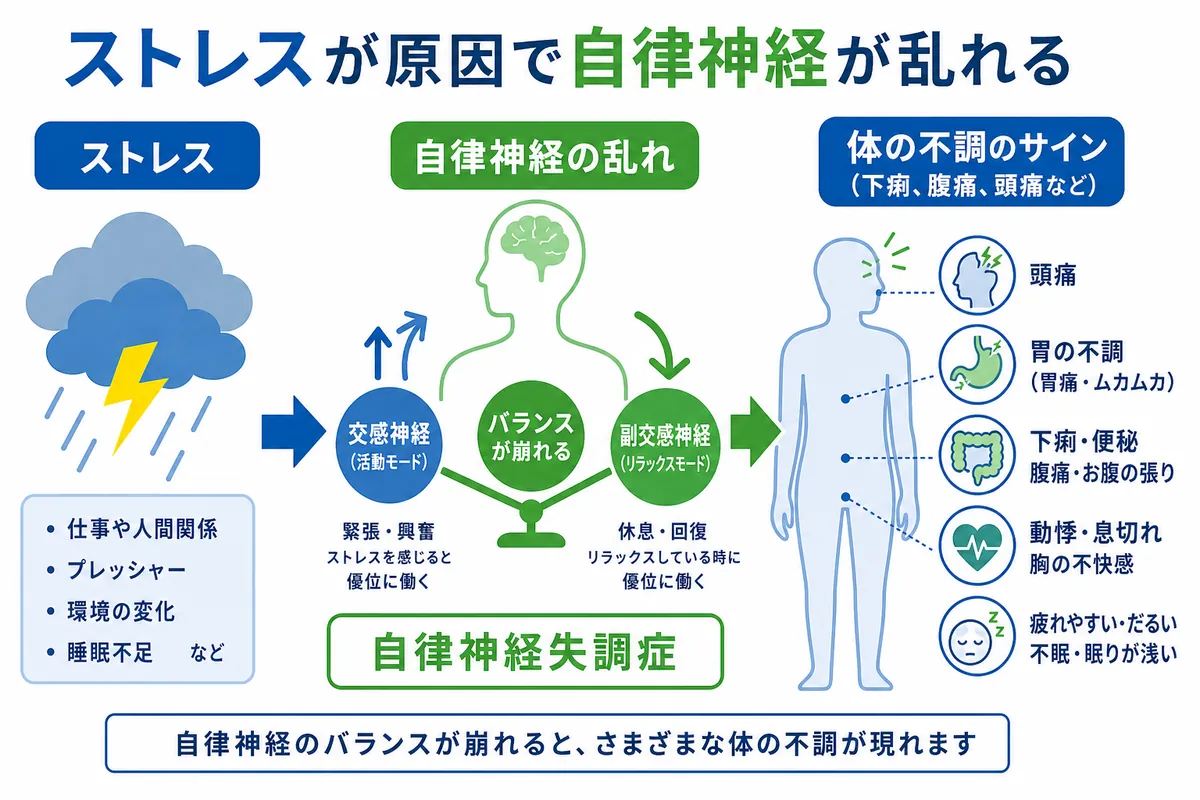 なぜストレスで体に不調が出るの?自律神経との関係