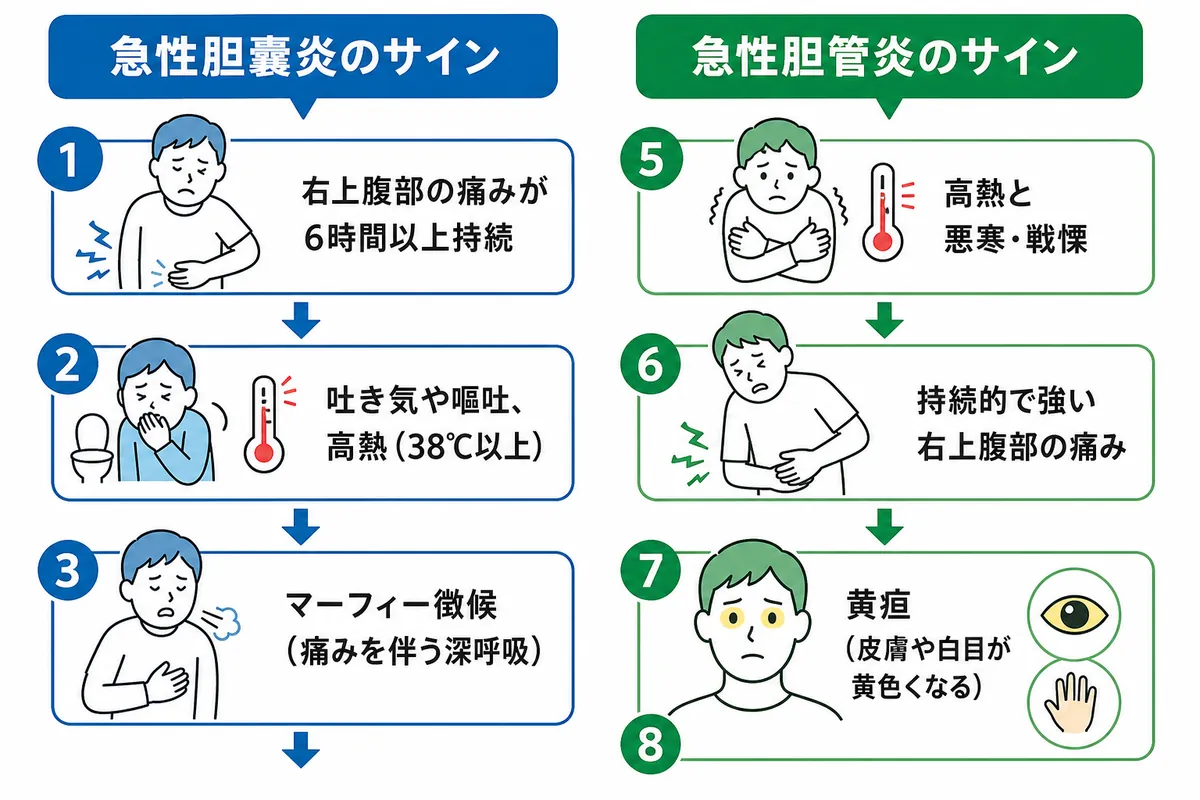 セクション - 画像 1