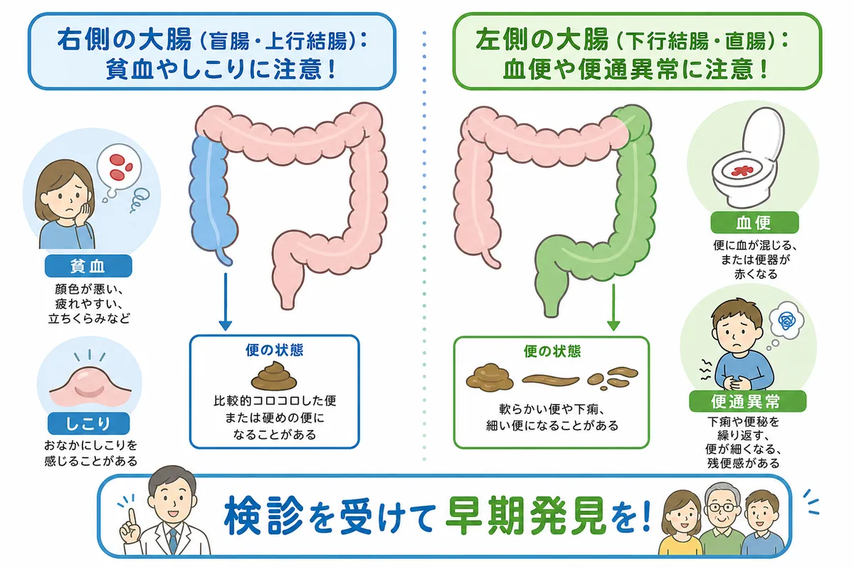 セクション - 画像 1