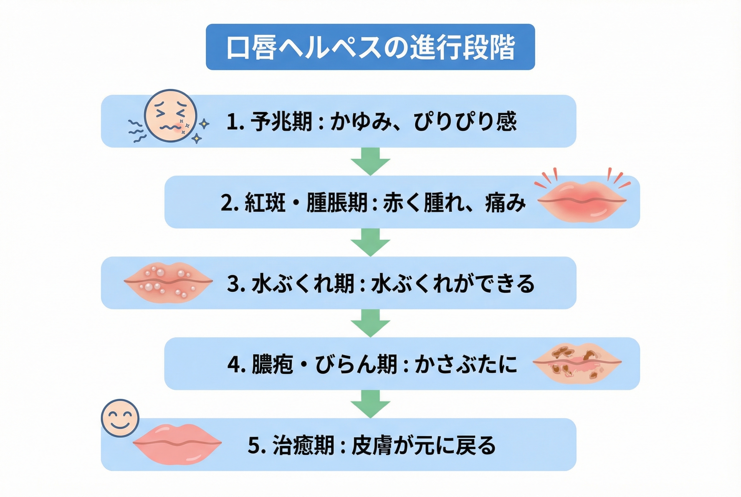 口唇ヘルペスに関するQ&A