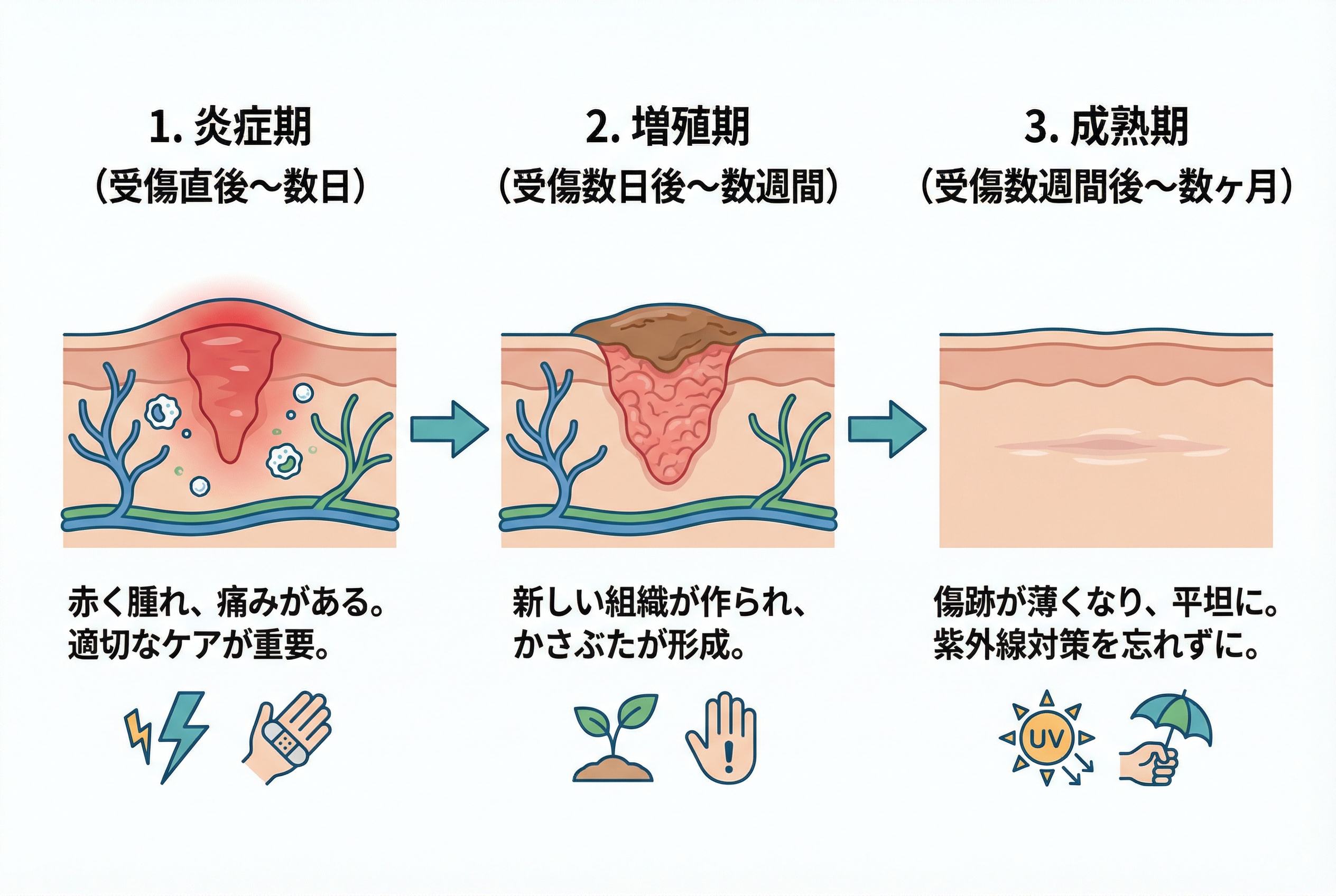 顔の傷を早くきれいに治す初期ケアと5つのポイント