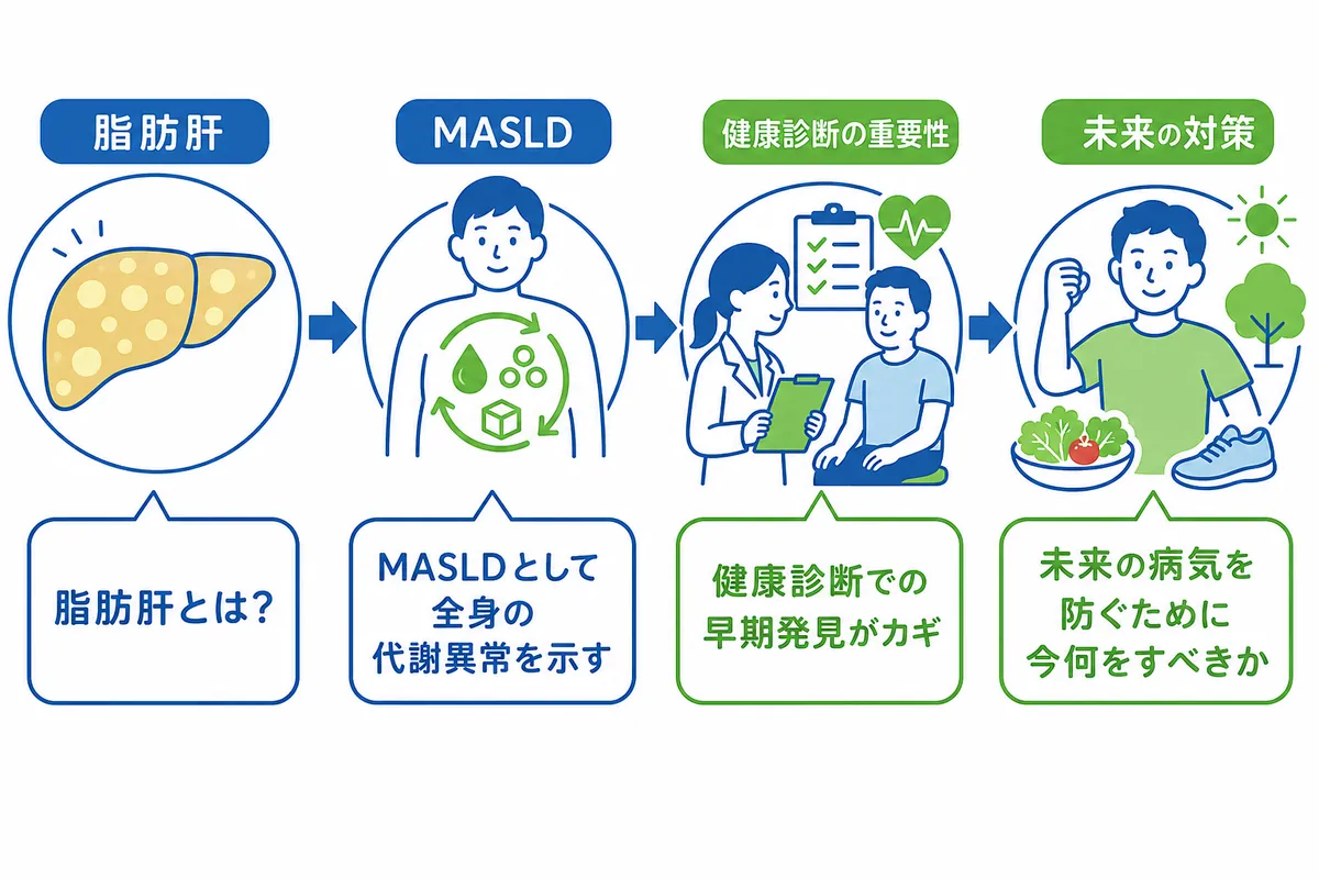 見逃しがちなMASLDのサインと全身への影響 - 画像 1