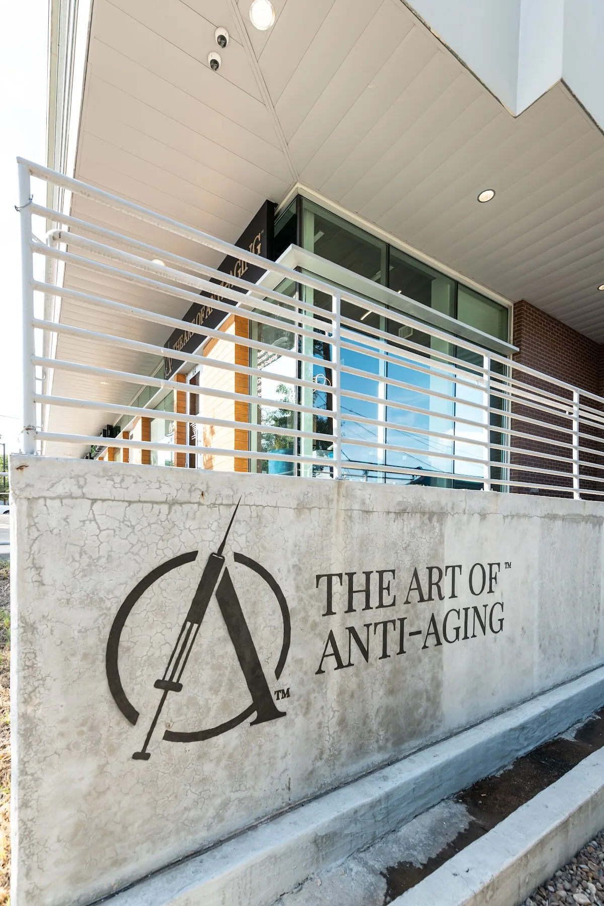 The Art of Anti-Aging - Photo 3