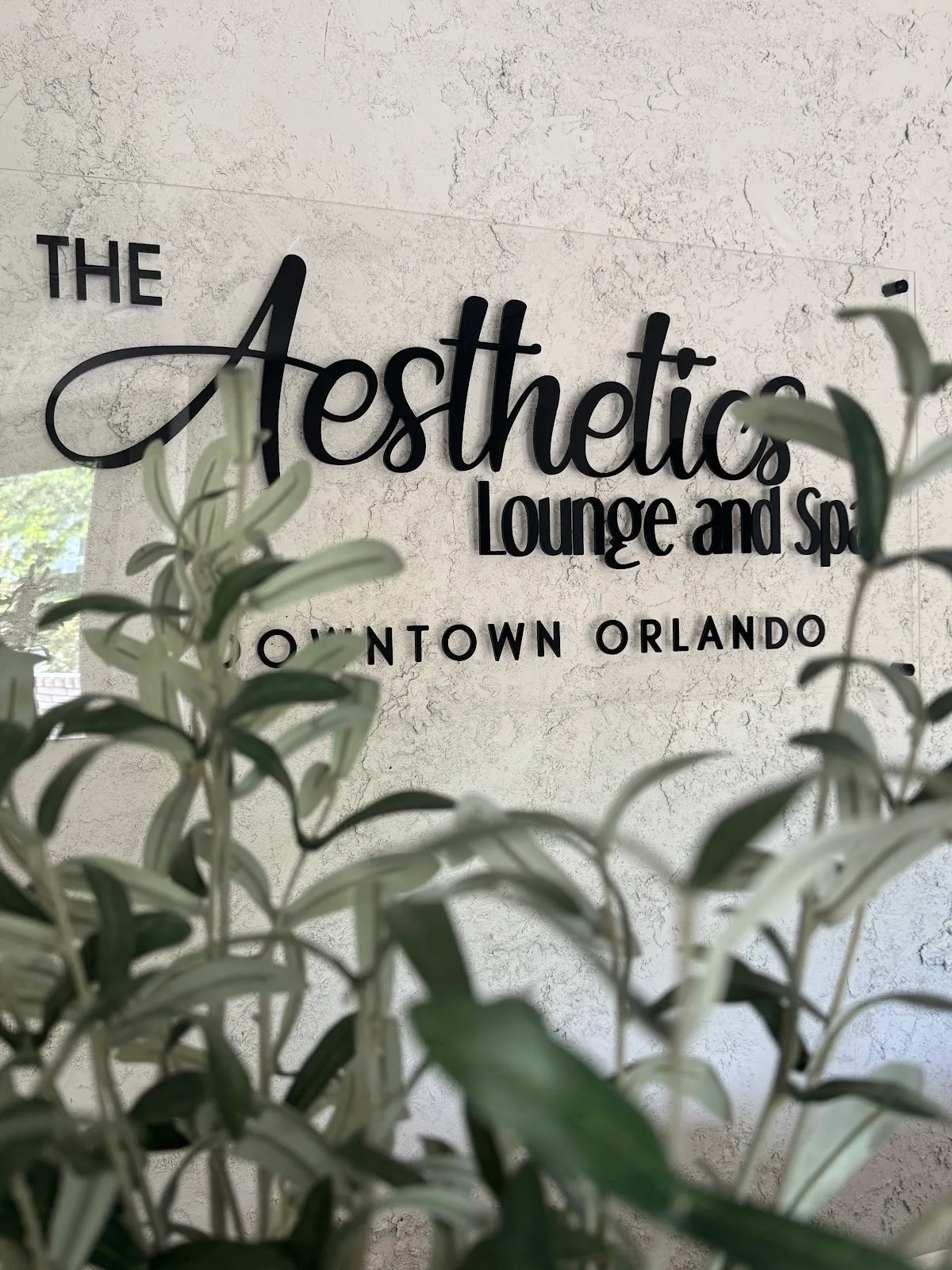 The Aesthetics Lounge and Spa Downtown Orlando