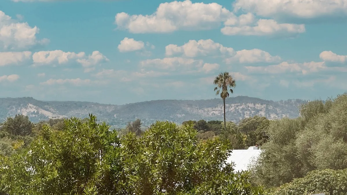 Self Cosmetic Science