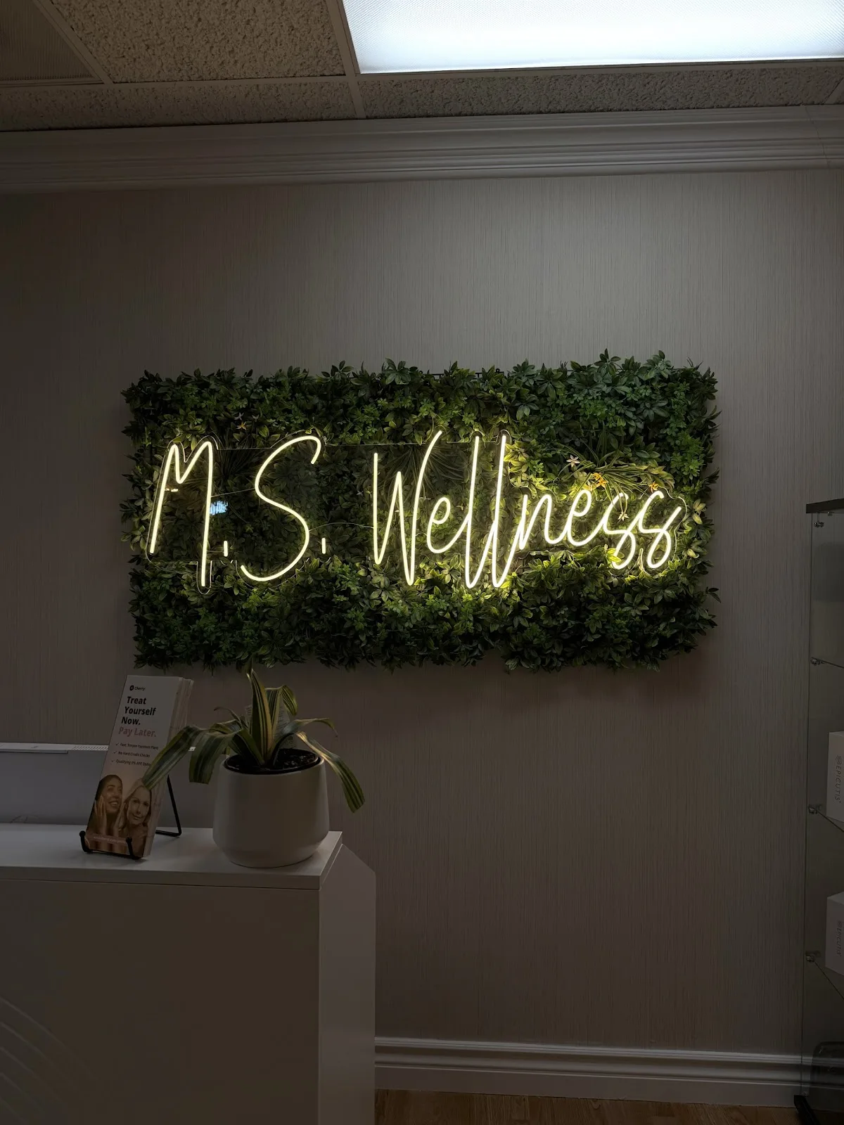MS Wellness Medspa, photograph 3