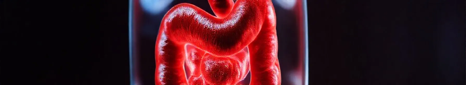 Functional Gastrointestinal Disorders