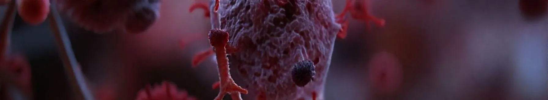 Overview of Infectious Diseases