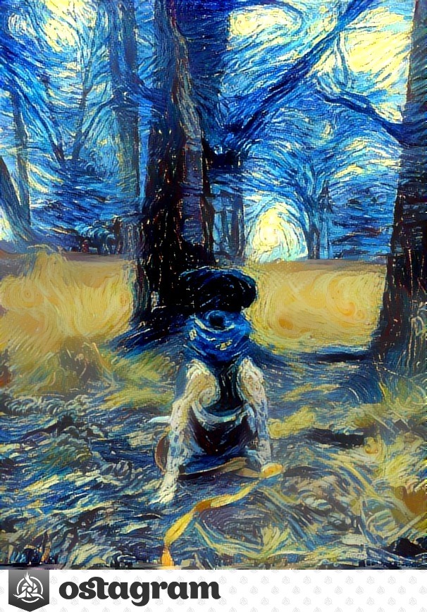 Kacz avatar