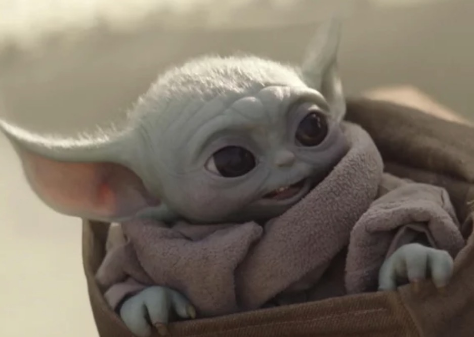 @matt