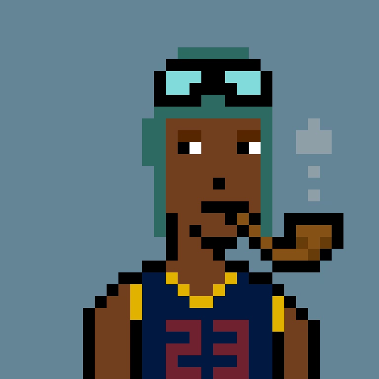 rapid_elephant avatar