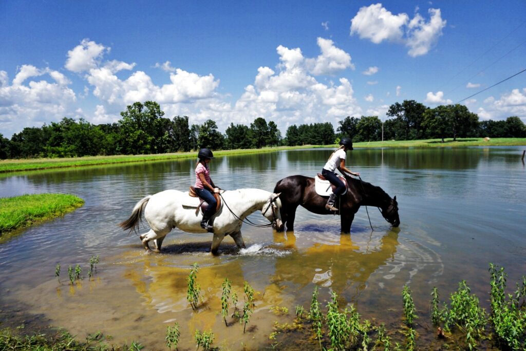 Packard Point Ranch - Equestrian Services