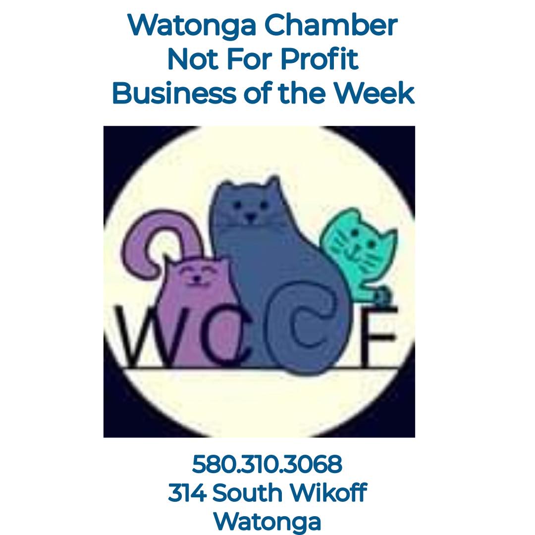 You are currently viewing Watonga Chamber’s Non-Profit Biz of the Week~Watonga Community Cat Foundation