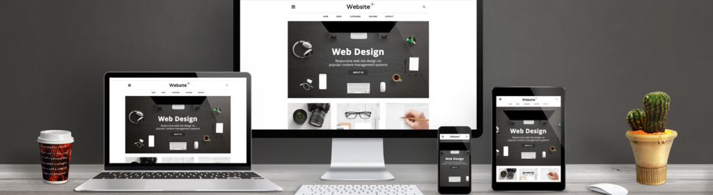 Megaphone Pro Solutions - Web Design