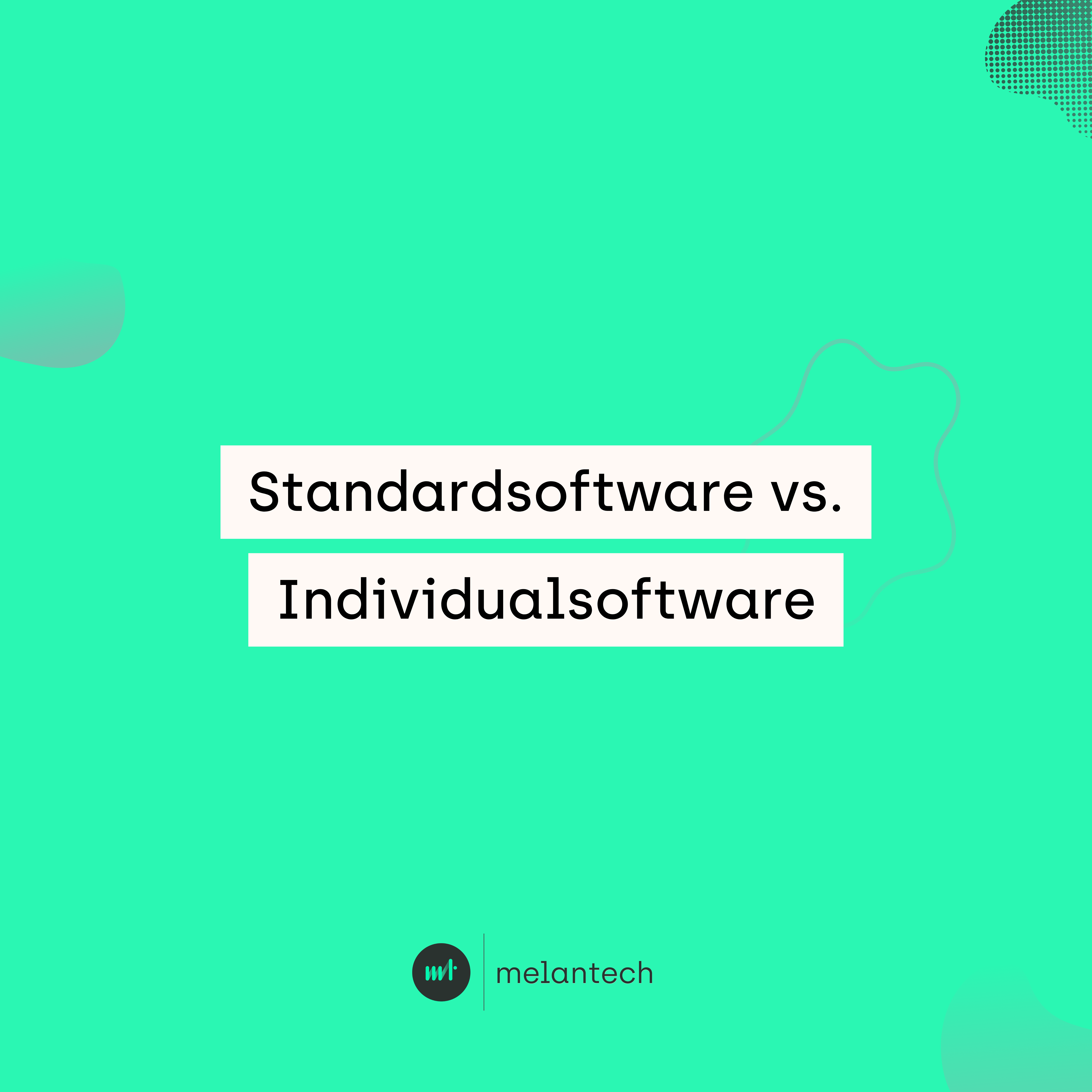 Standardsoftware Vs. Individualsoftware Vorteile Nachteile – ZWZI