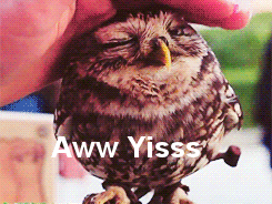 Aww Yisss