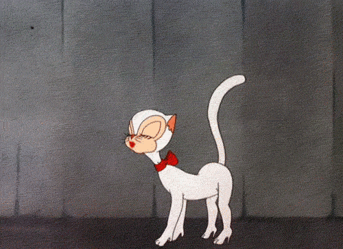 Sexy Cat