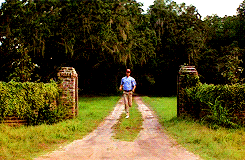 Run Forrest