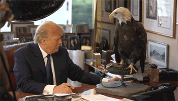 GTFO Trump