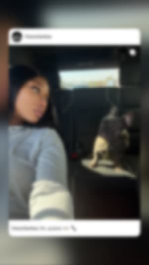 Locked content preview